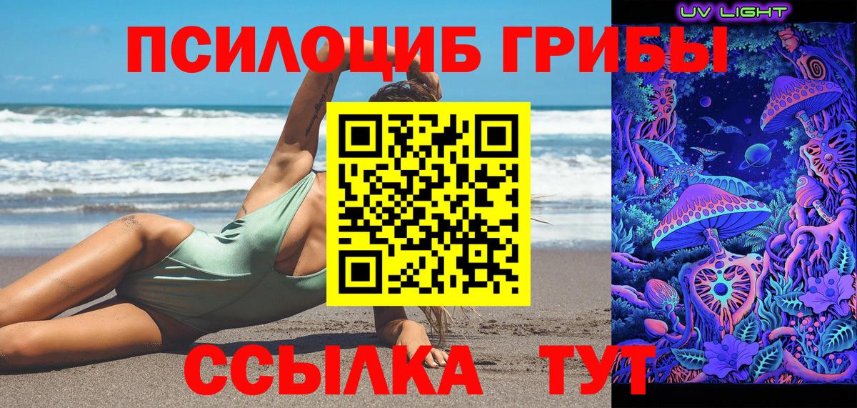 купить наркоту  Вход с VPN  Бугуруслан  Псилоцибиновые грибы MAGIC MUSHROOMS 